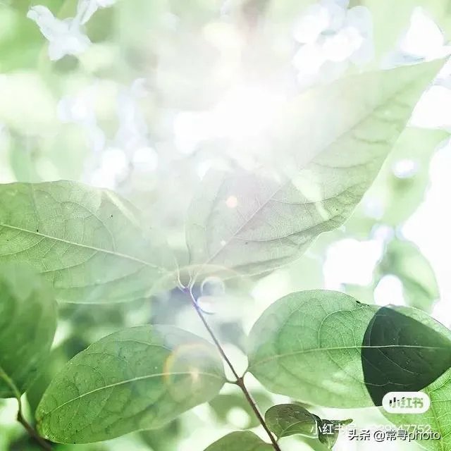 学摄影一定要参加学习班吗?选择什么形式的学习班比较合适?