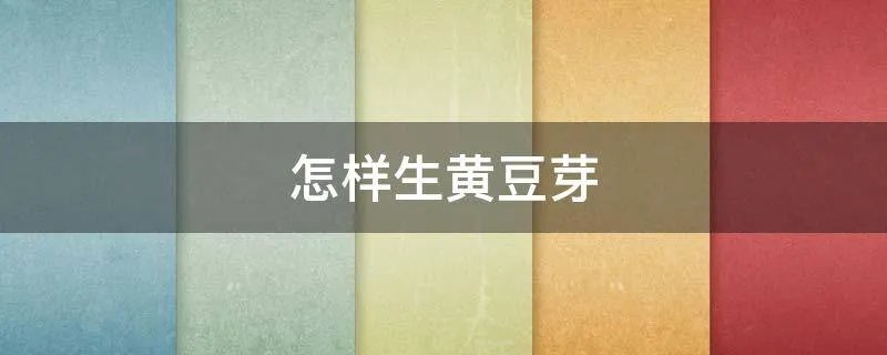 怎样生黄豆芽