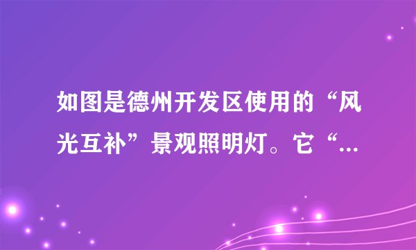 如图是德州开发区使用的“风光互补”景观照明灯。它“头顶”小风扇，“肩扛”光电池板，“腰挎”照明灯，“脚踩”蓄电池。下列解释合理的是（   ）A.光电池板是将电能转化为光能B.照明灯是将内能转化为电能C.小风扇利用风力发电，将机械能转化为电能D.蓄电池夜晚放电，将电能转化为化学能