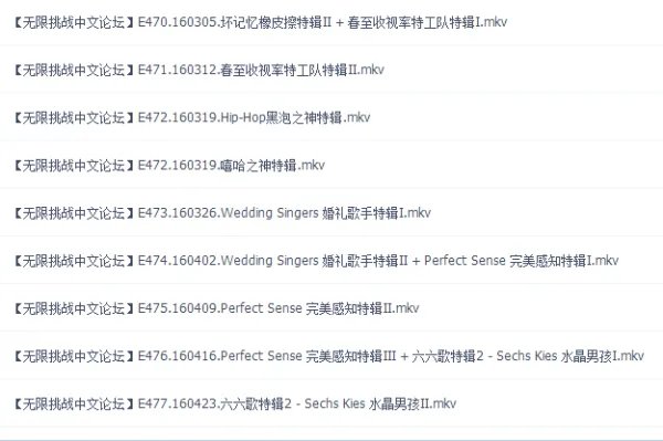 无限挑战2016目录