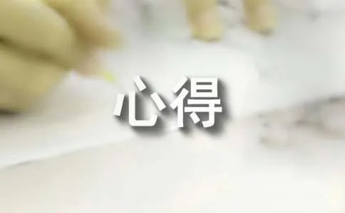 个人工作心得