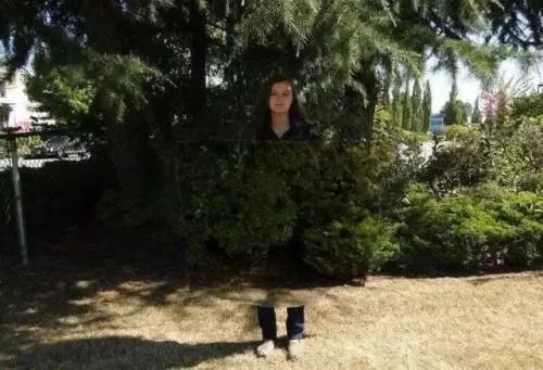 淘宝有量子隐身衣买吗 量子隐身衣是什么原理