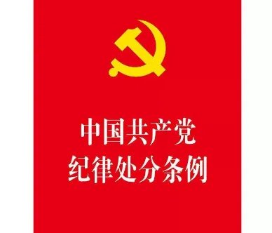 违反有关规定办理因私出国情节较轻