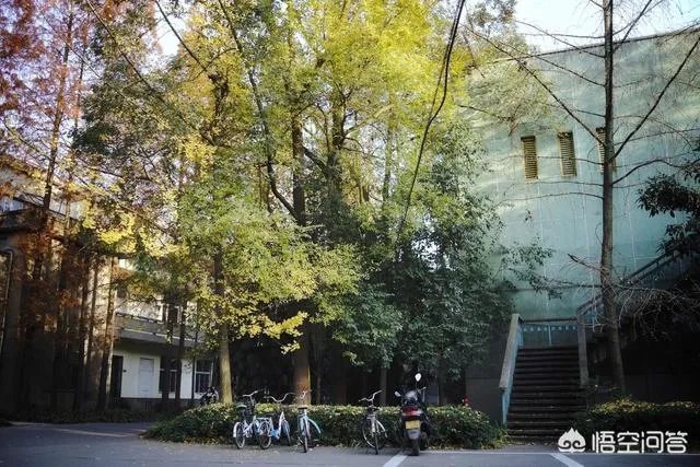 西华大学怎么样?