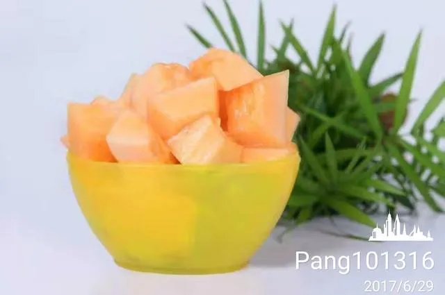 哈密瓜适合中国什么地方种植