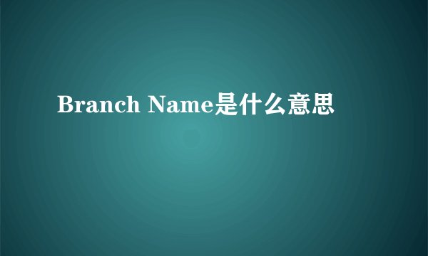 Branch Name是什么意思