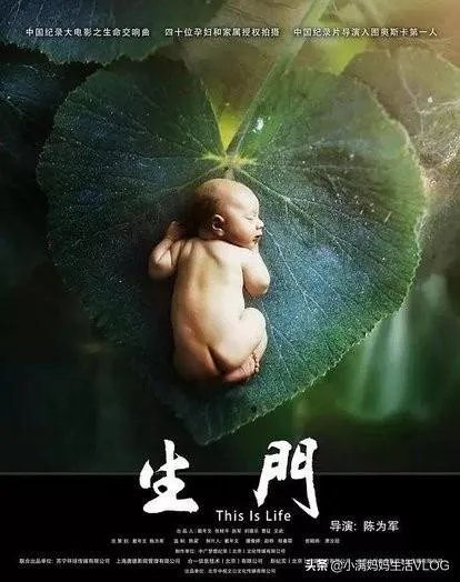 有哪些比较好看的纪录片?