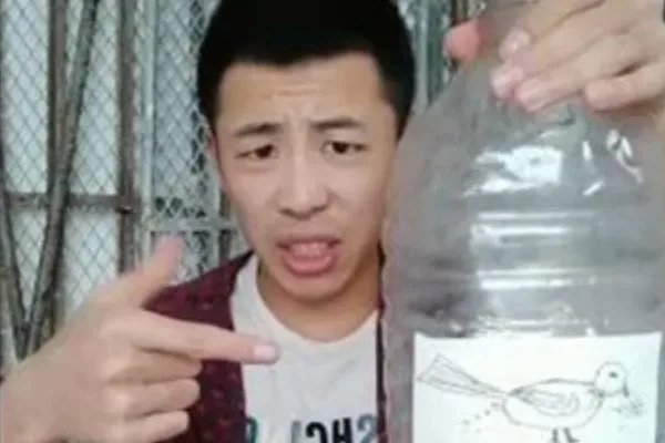 小鸟伏特加歌曲