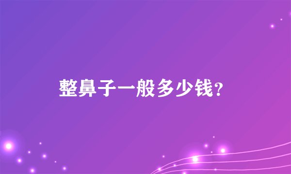整鼻子一般多少钱？