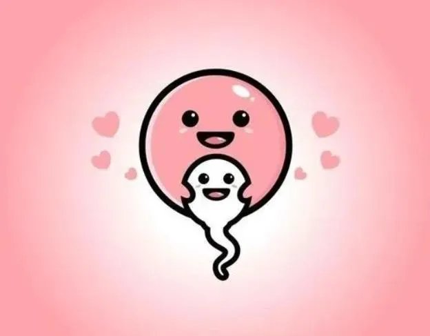 北京试管助孕-北京海淀区妇幼保健院生殖科试管婴儿怎么做？