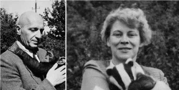 电影《动物园长夫人》，是发生在哪个国家的故事？