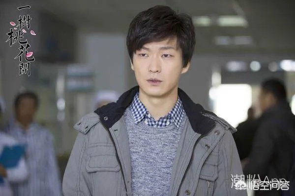 电视剧《一树桃花开》，相比盛开，为啥狄英最后能治服罗耀辉母？