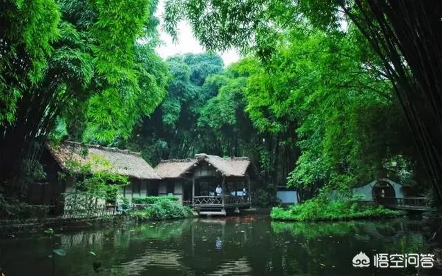 大熊猫的产地是哪里？