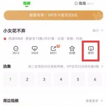 《爱奇艺》下载缓存视频教程