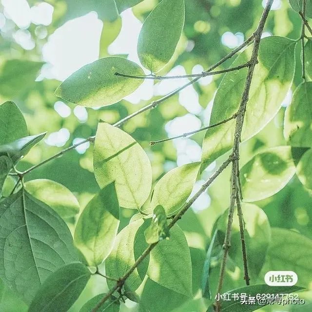 学摄影一定要参加学习班吗?选择什么形式的学习班比较合适?