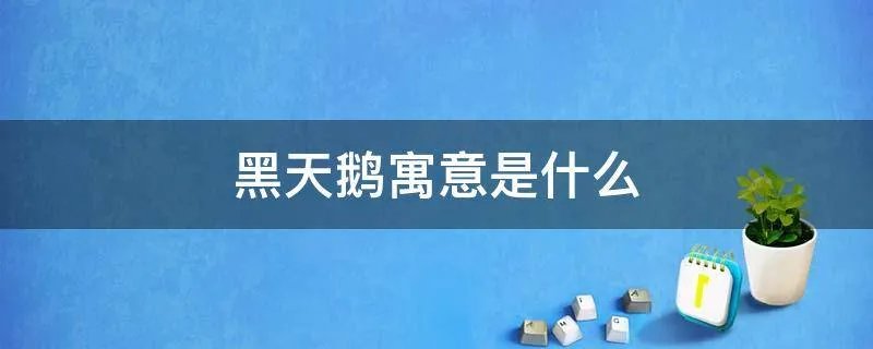 黑天鹅寓意是什么
