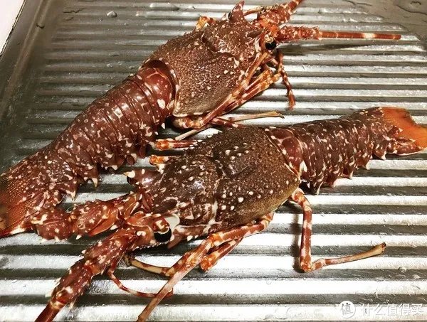龙虾怎么做好吃