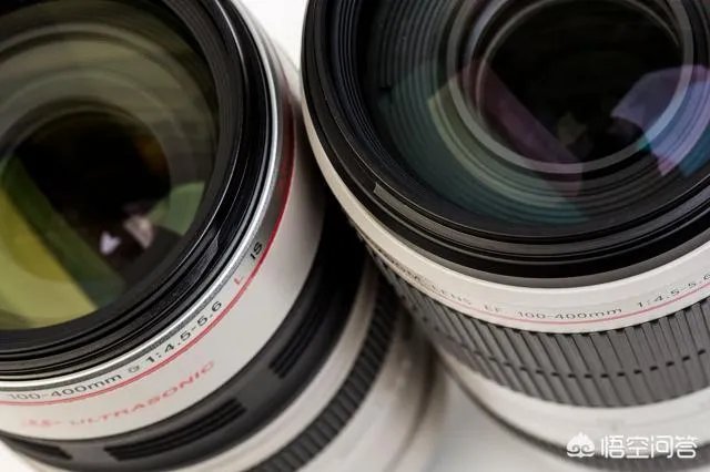 佳能100-400镜头适合拍什么?