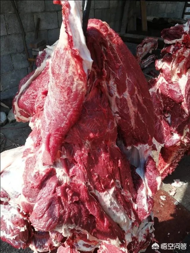 牛肉摊利润多少