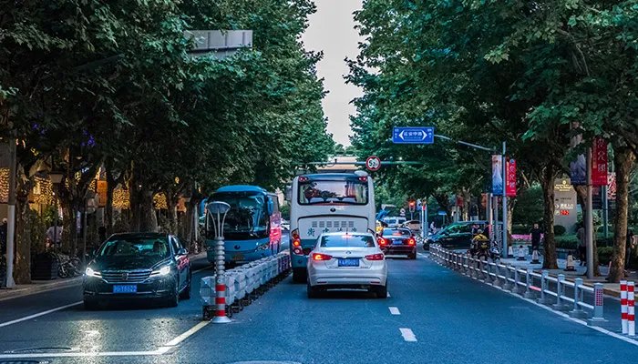 鲁b是哪里的车牌号