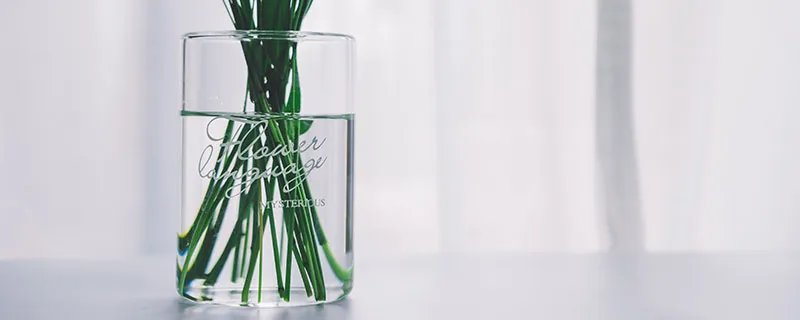 六月雪的养殖方法 六月雪怎么养