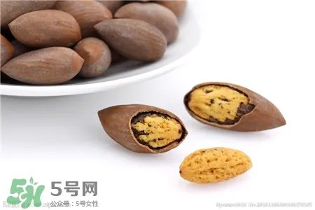 香榧是什么?香榧子有什么价值