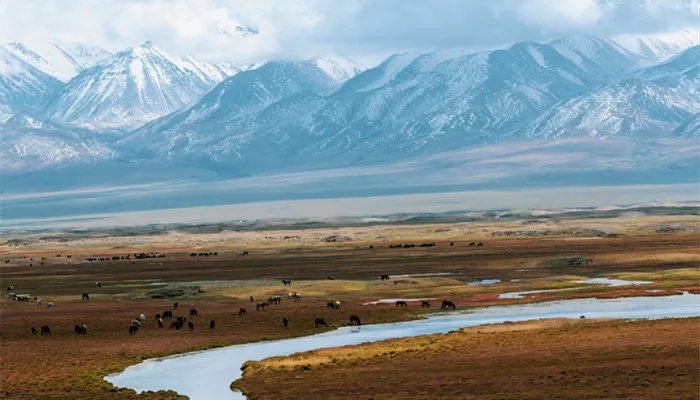 青海属于哪里 青海属于什么国家