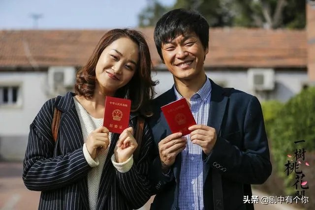 电视剧《一树桃花开》，相比盛开，为啥狄英最后能治服罗耀辉母？