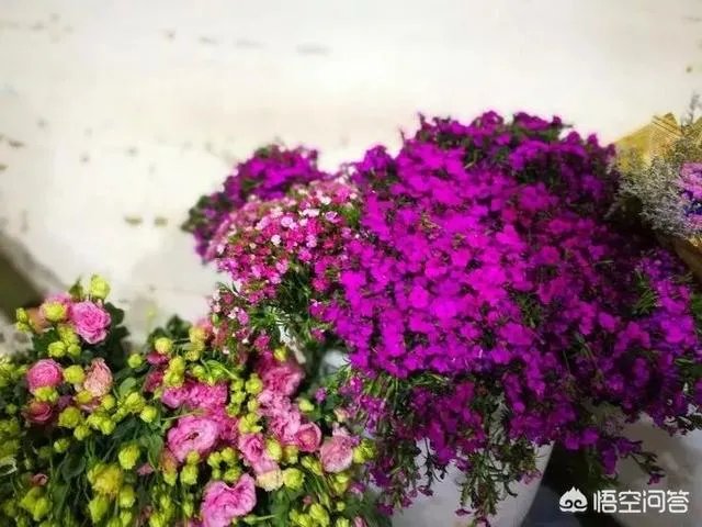 云南有哪些大的鲜花市场？