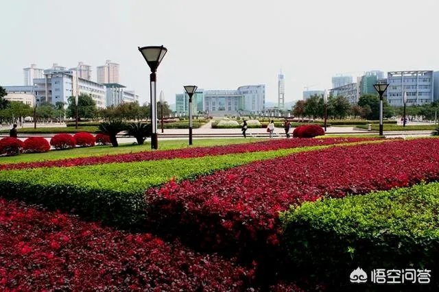 重庆文理学院究竟是一所什么档次的大学？哪些专业好？ ？