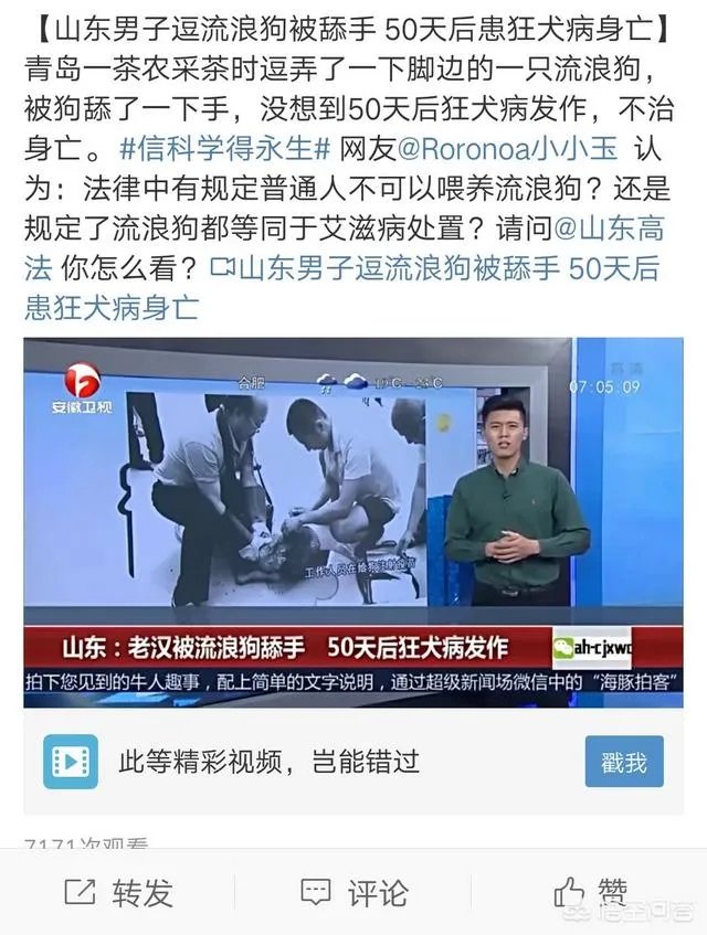 男子喂流浪狗却赔钱,这是怎么回事?