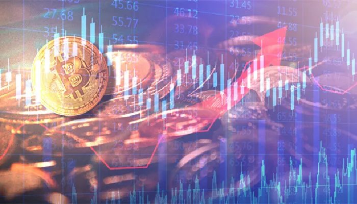 伞型基金是什么 伞型基金到底是什么