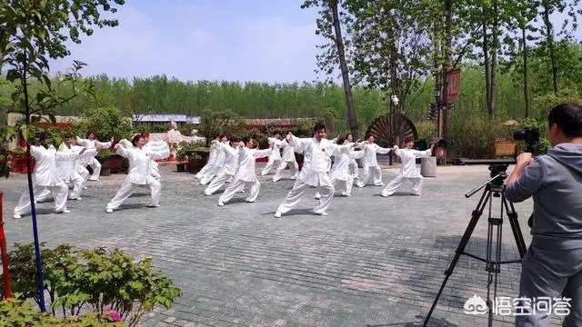 合肥滨湖国家湿地森林公园，好不好玩呢？