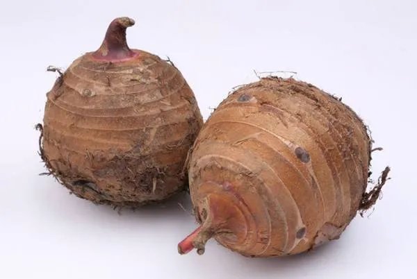 芋头粥的功效与作用是什么？如何才能做好芋头粥？