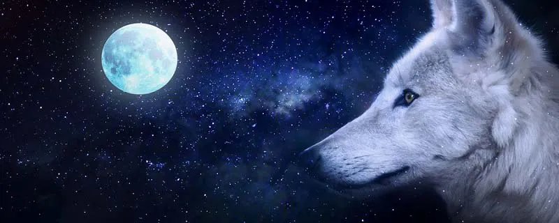 东郭先生和狼的故事 东郭与狼的故事简介