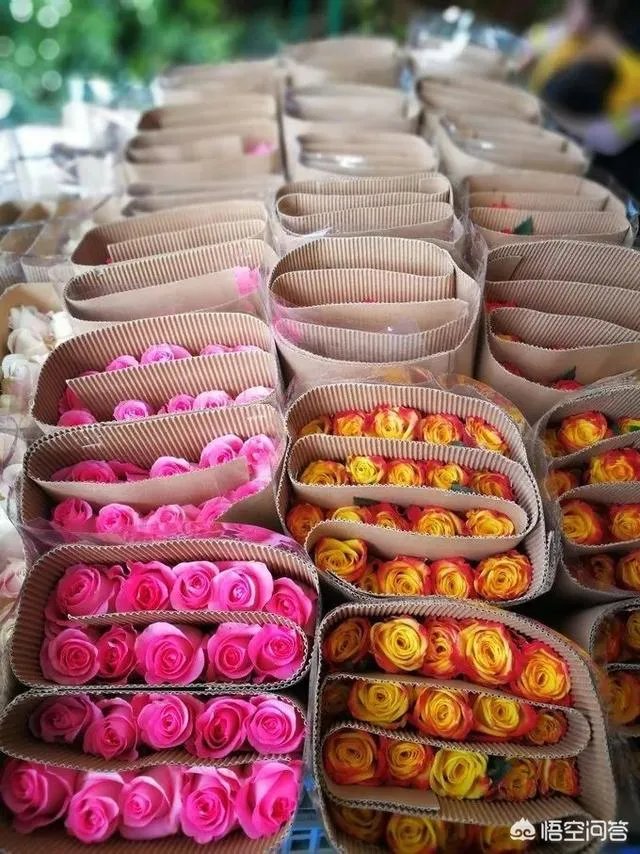 云南有哪些大的鲜花市场？