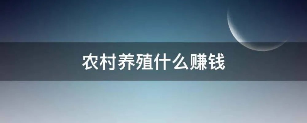 农村养殖什么赚钱