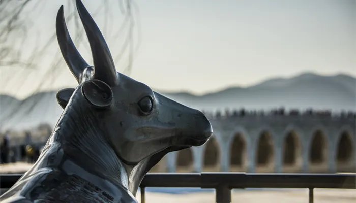 氧化铜到底是什么颜色的 氧化铜是啥颜色