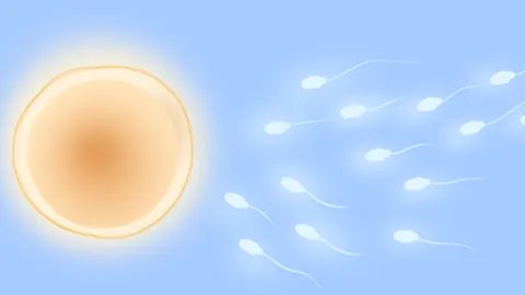 精子存活率低怎么办