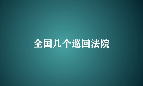 全国几个巡回法院