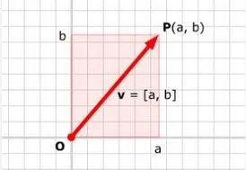 一维坐标系只能描述物体在一条直线上的运动吗