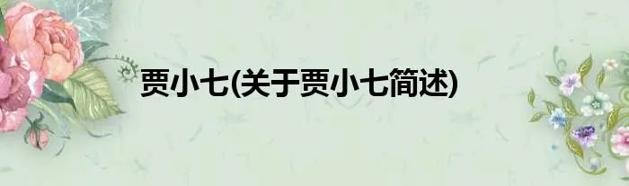 贾小七(关于贾小七简述)