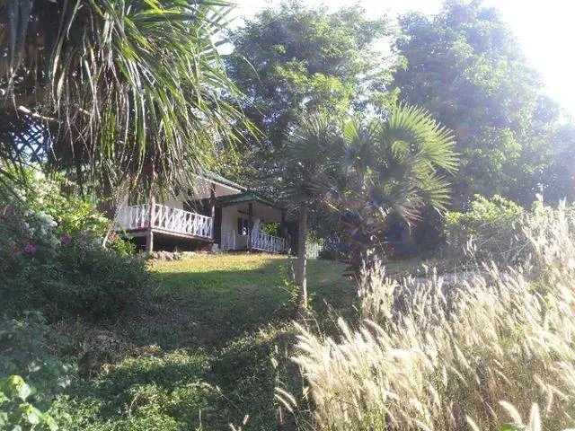 泰国皇帝岛大不大？一天怎么玩？