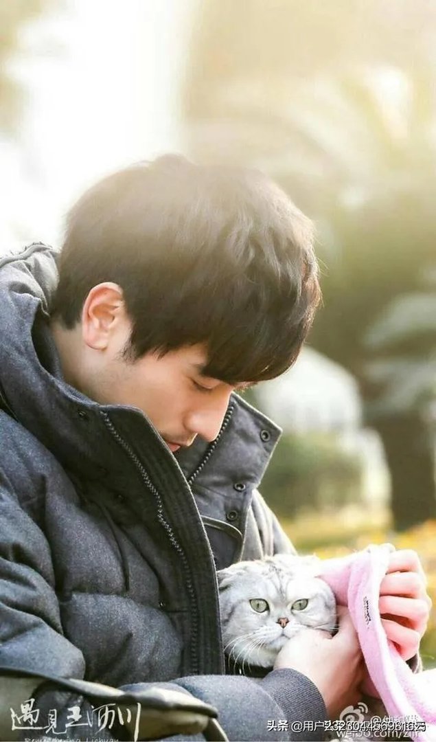 遇见王沥川这部电视剧有看过的么?评价下吧?