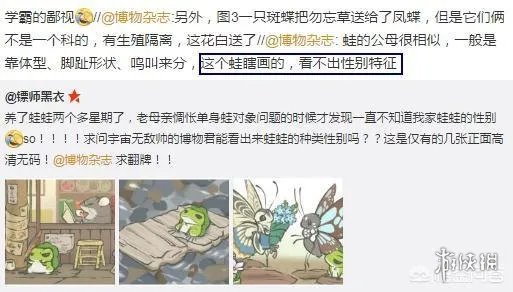 《旅行青蛙》这么可爱一定是男孩子！我家的蛙性别确认