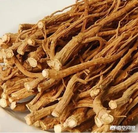 未来种中药材可以赚钱吗？