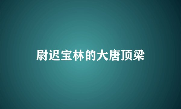 尉迟宝林的大唐顶梁
