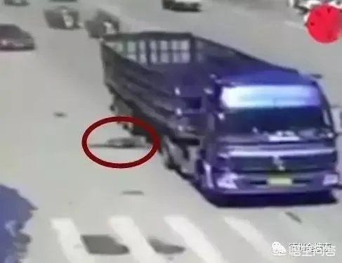 碰瓷失败被压死