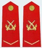 一级士官肩章是什么样的?