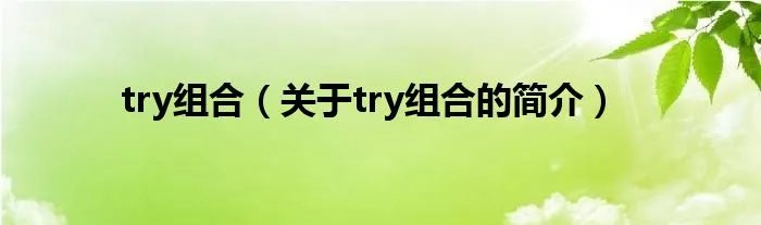 try组合（关于try组合的简介）